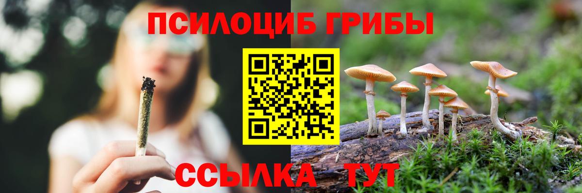 наркотики  Вход с VPN  Конаково  Псилоцибиновые грибы прущие грибы 