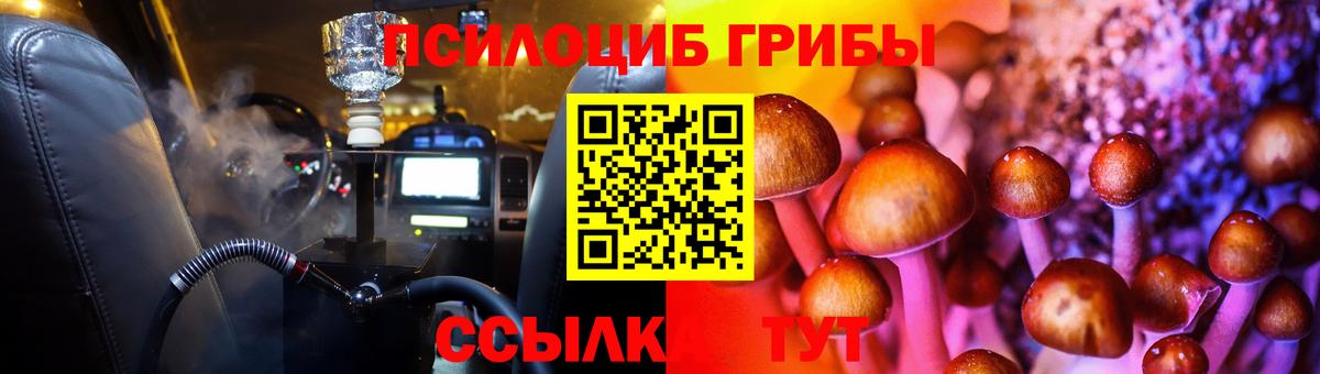 Псилоцибиновые грибы мицелий Конаково